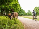 Richmond Park Set for Managed Re-Opening in June